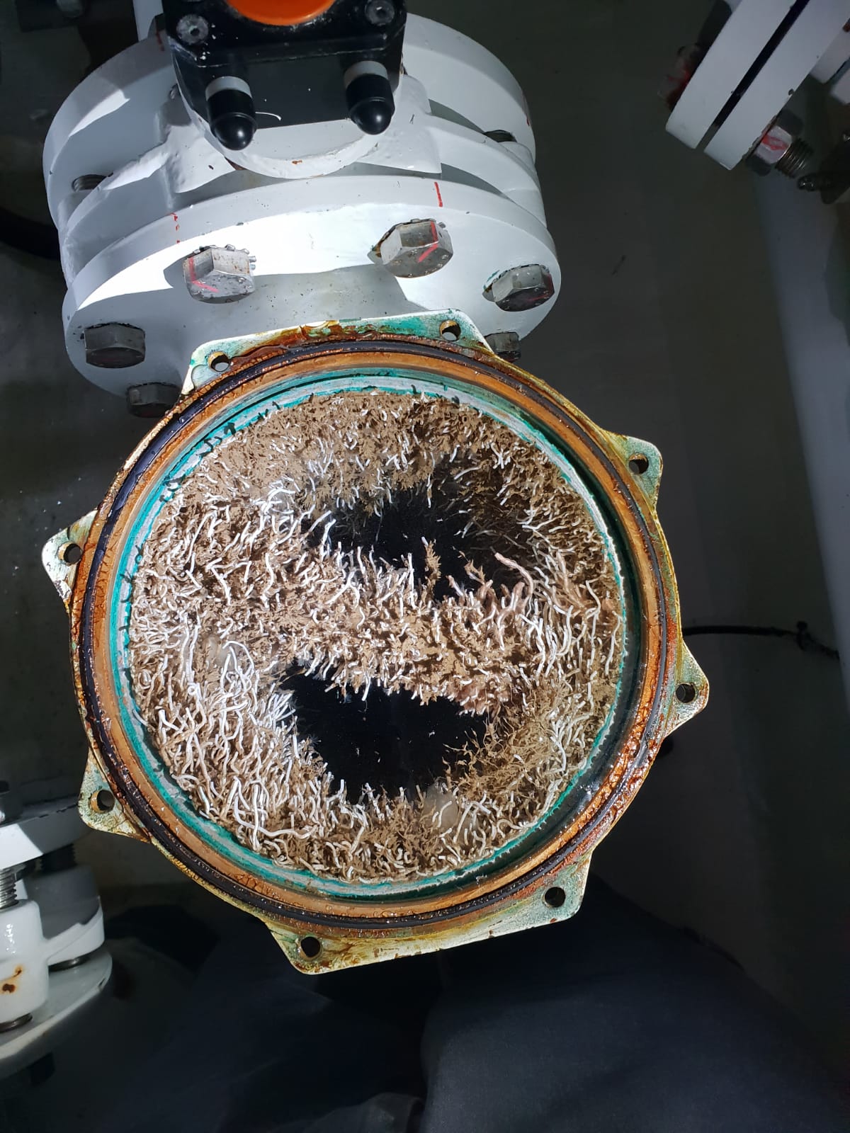 Sea Chest, Strainers & Seawater Pipework UltraSonic