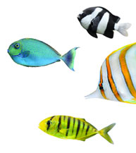 benefits_environment_new