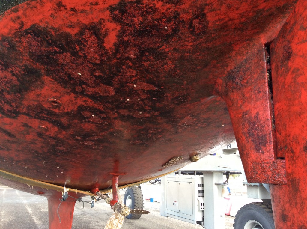 Fencia - stern hull - 1