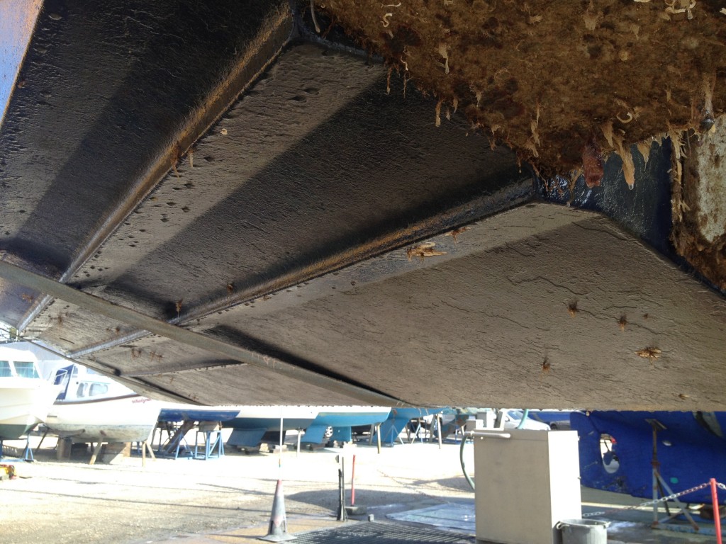 JL hull before wash off